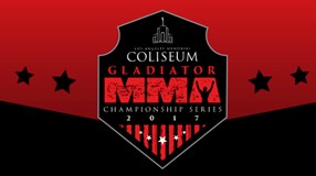 MMA Gladiator Finals